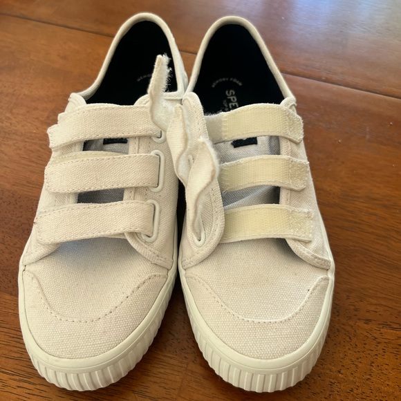 Sperry Shoes - Sperry Sneakers.